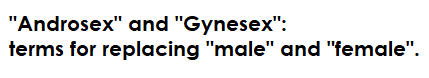 Androsex y ginesex
